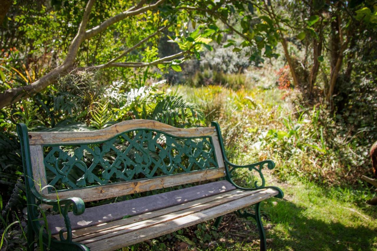 Pear Tree Cottage Stormsrivier Exterior foto